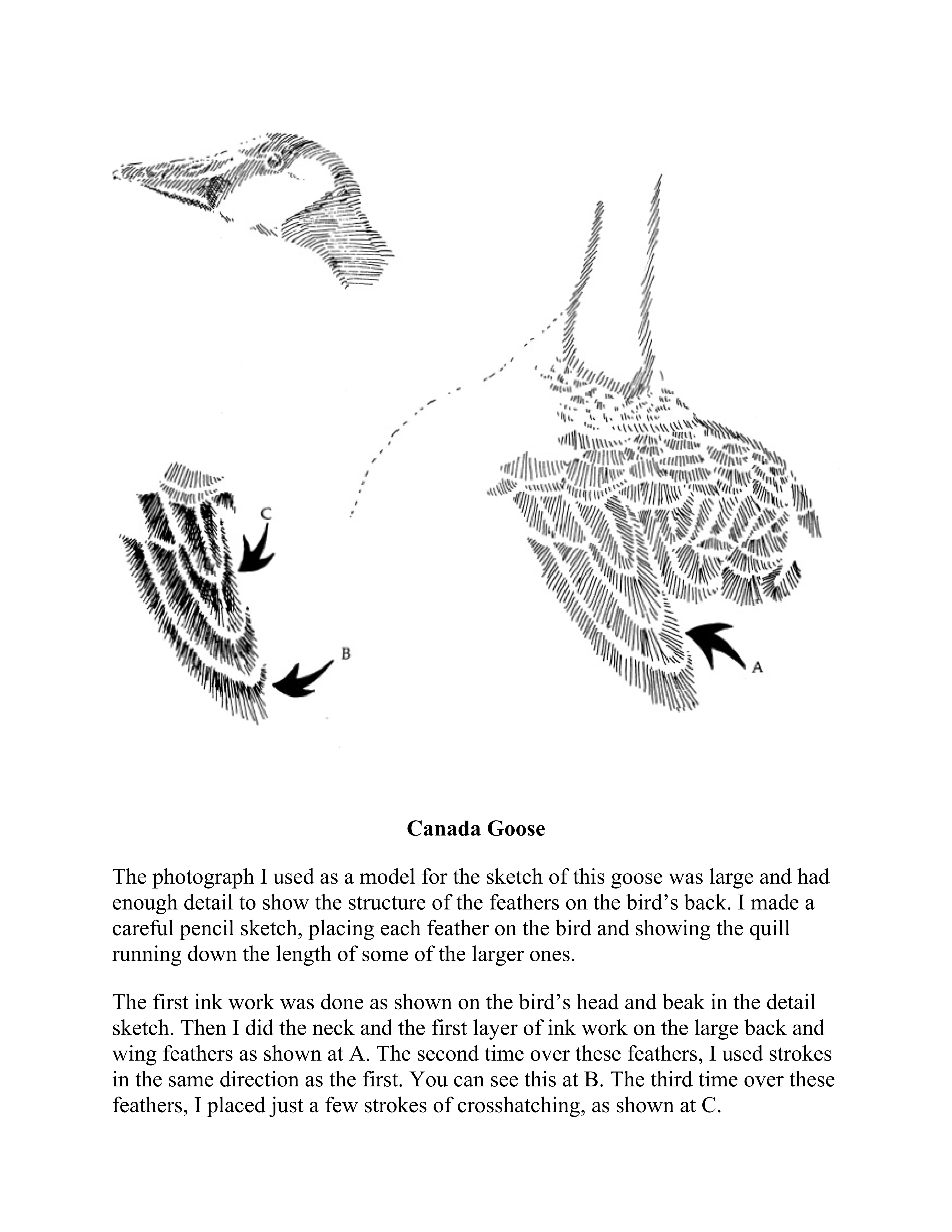 آموزش نقاشی طراحی سیاه قلم شهرری